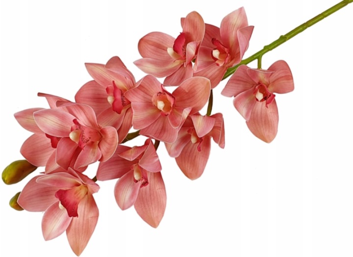 Storczyk gumowy orchidea 10 kwiatów 75cm OS/10