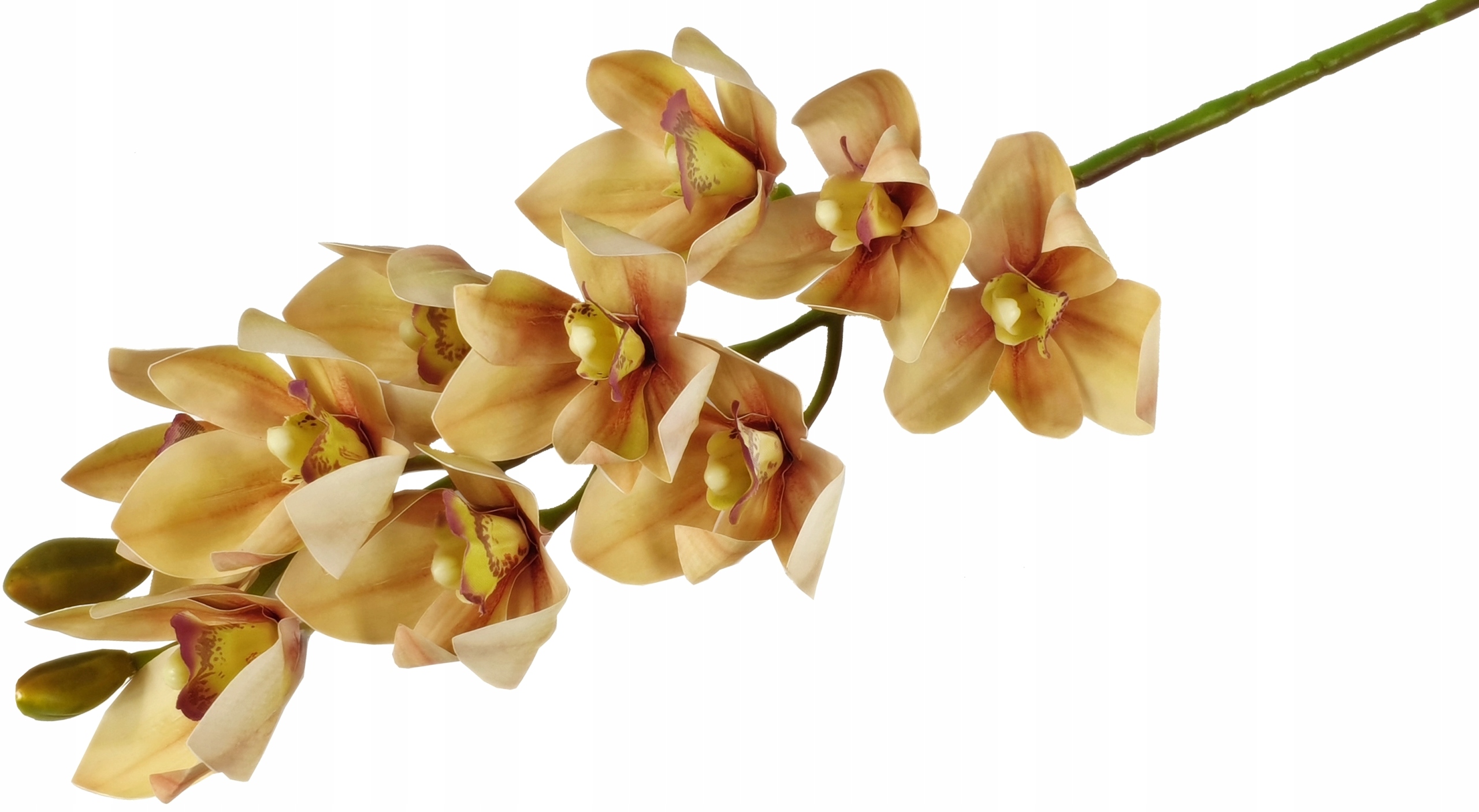Storczyk gumowy orchidea 10 kwiatów 75cm OS/10