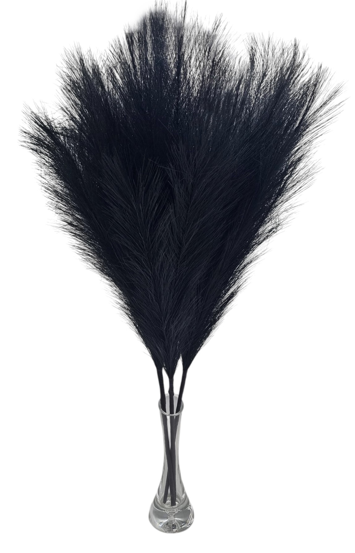 Trawa pampasowa CZARNA 70cm