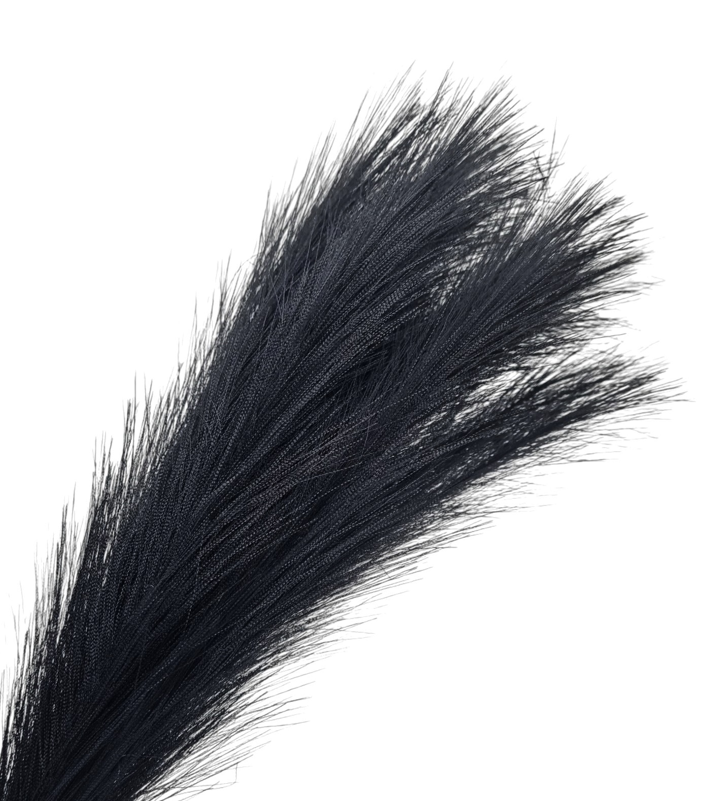 Trawa pampasowa CZARNA 70cm - obrazek 3