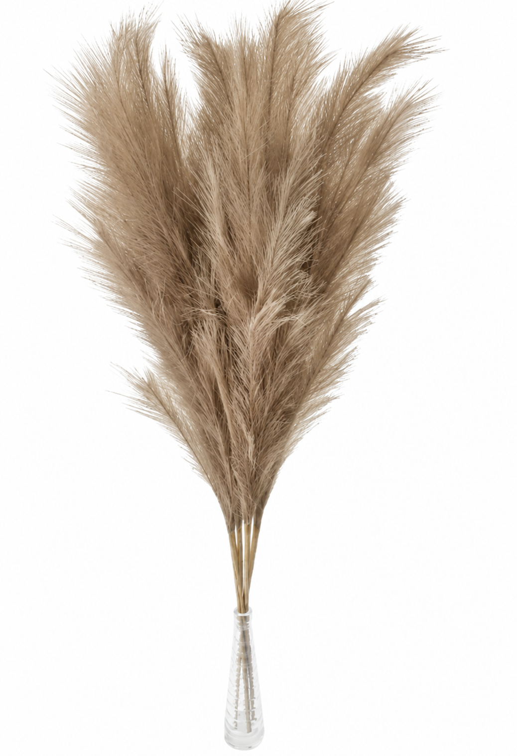 Trawa pampasowa 110cm