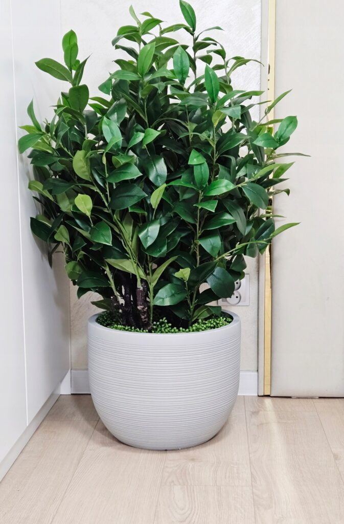 Donica YY-2021-52 L - obrazek 4