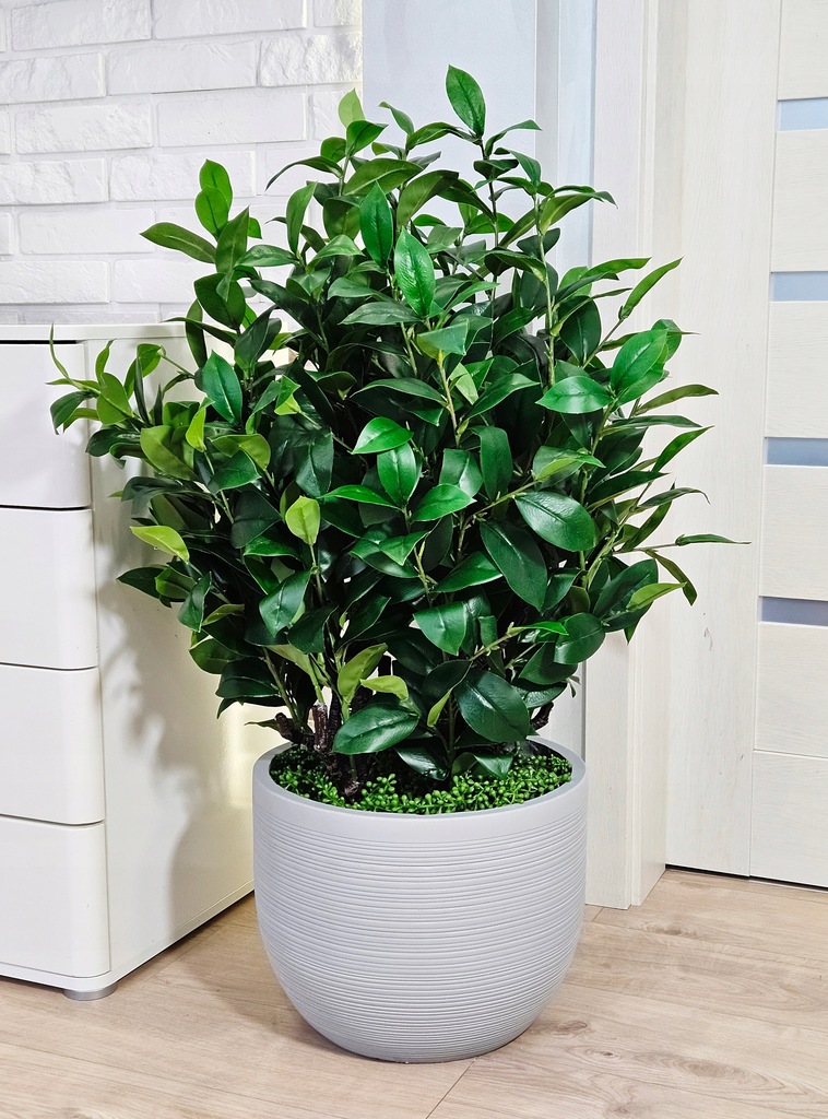 Donica YY-2021-52 L - obrazek 6