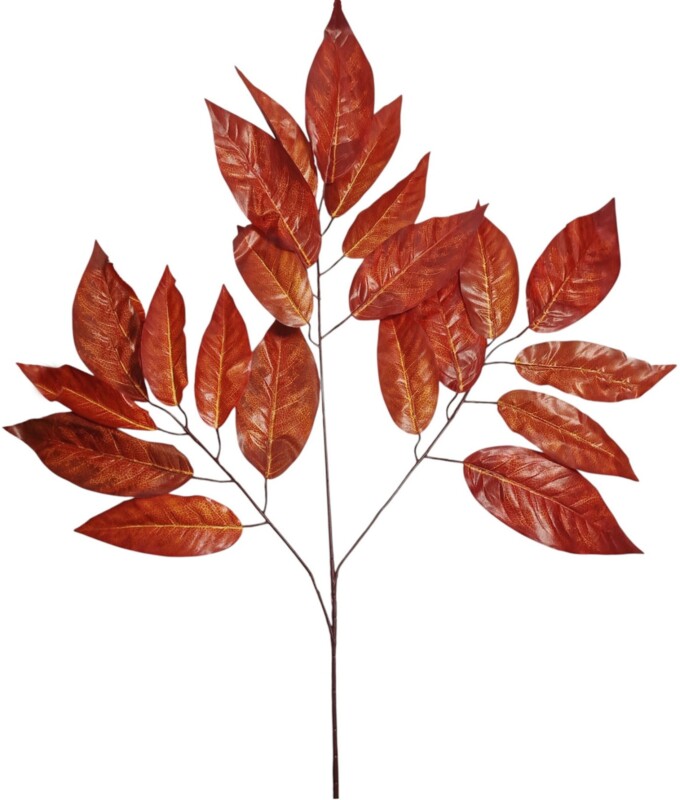 f2b25a8b4af64bbac67bab9649149181