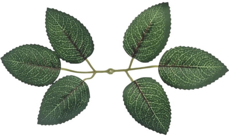 5f39817dc58cbd05764728d92515f6fc