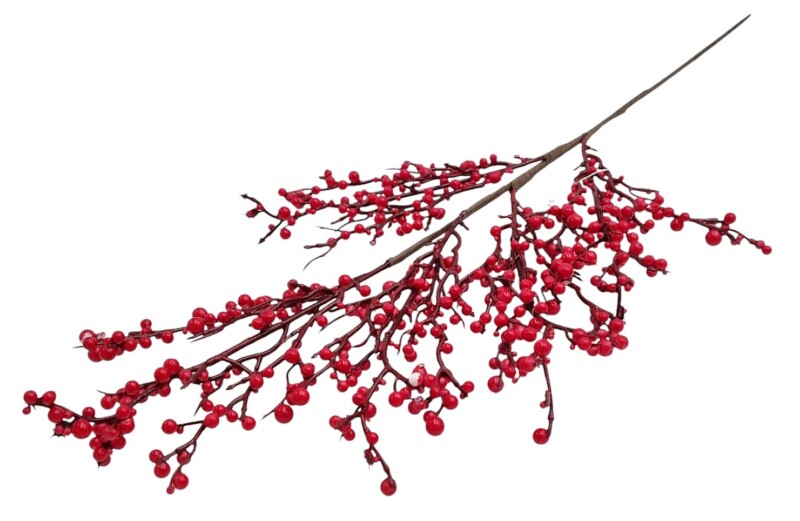 848625b53dd8459148fbb8c54d5fa8ba