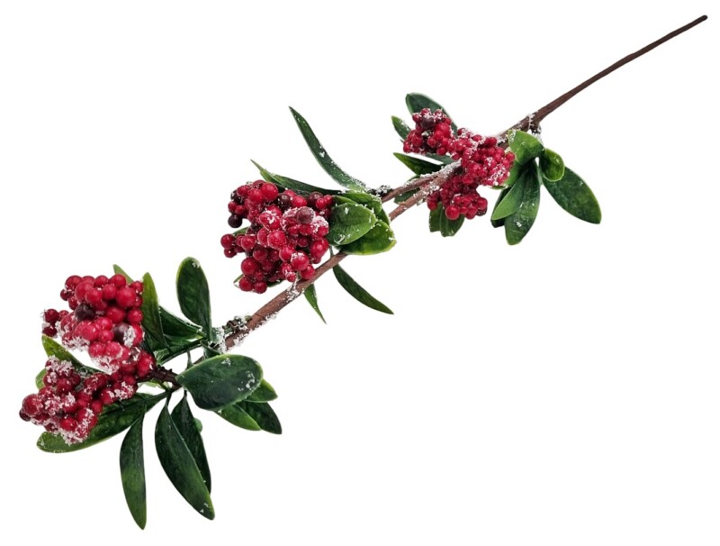 38de24fd23d3deae28c934d95e1ba51e