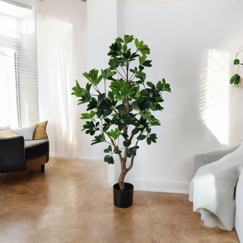 c426aa975641e0f18276316db28c83d3