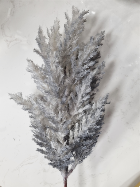 c76584b56a01b992b06ed0cb89853ab9