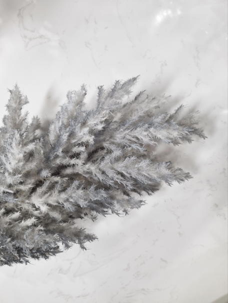 f970b911206713cddacd3149fc44d632