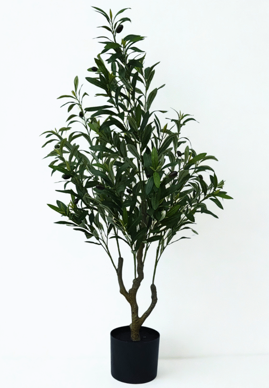 c44baef4bc03a8f9548c88dc5c34f47f