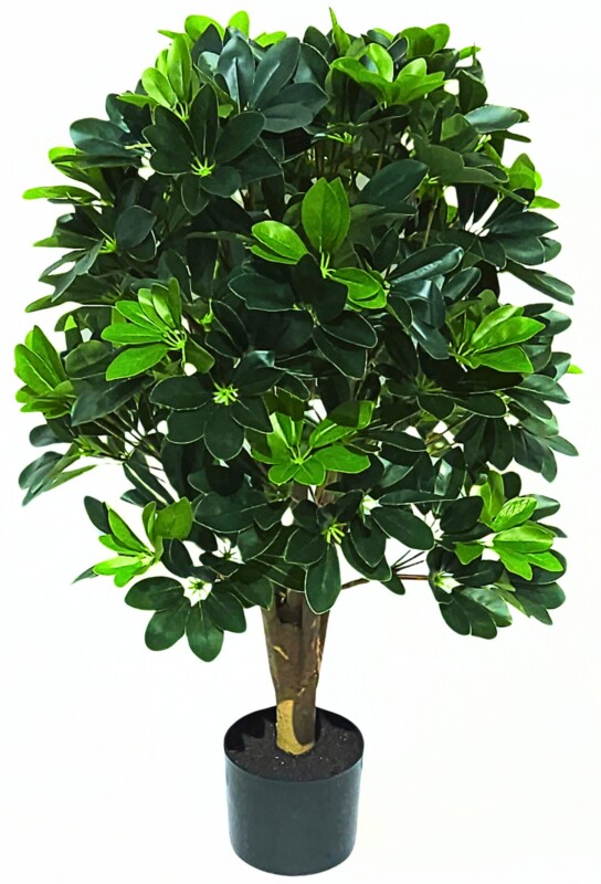 a788688a5e8707af10d9e403ecaedd7d