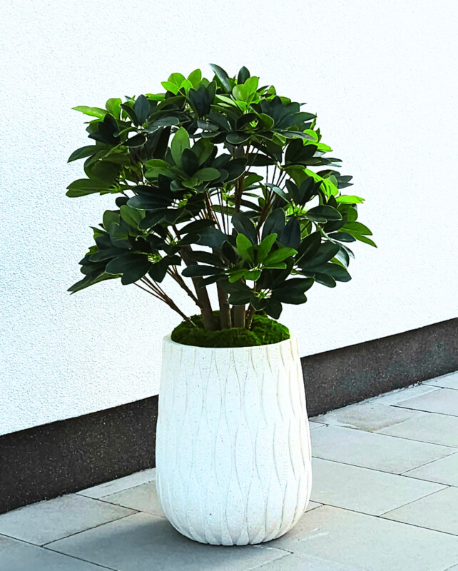 c85507ca28bd688e4ef025ece201d783