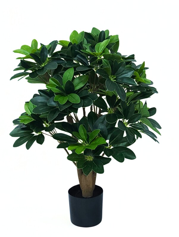 d5b2086798498a4210b615223f0749e0