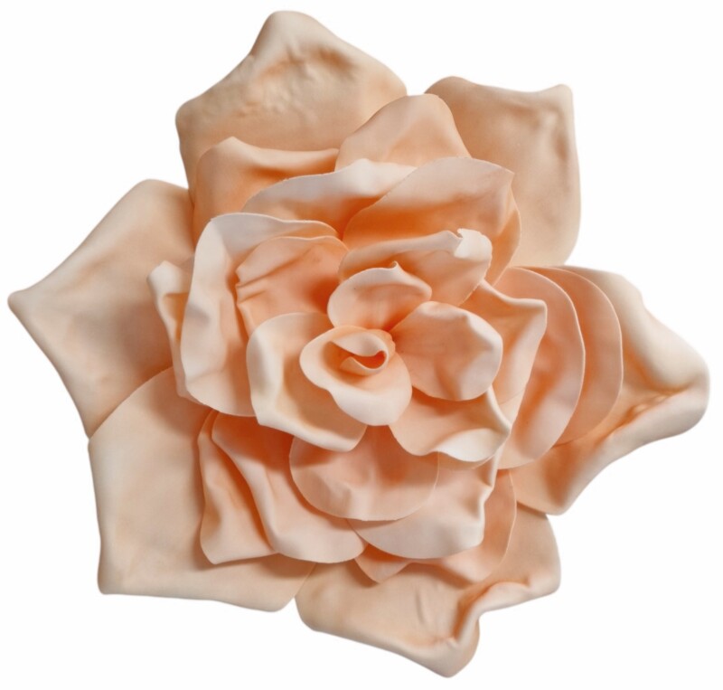 113136d8bd7ec96c52c9438724cbe64e