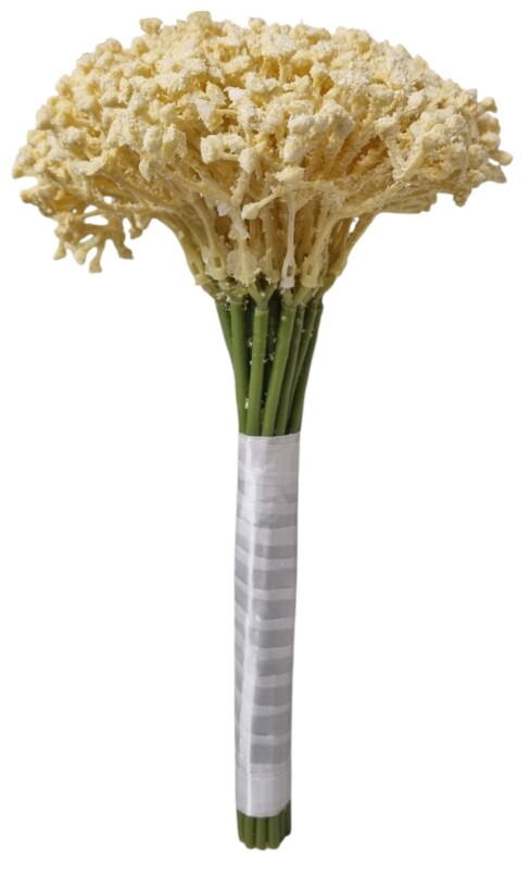 19938540ee07ef066a2be591e4c06693