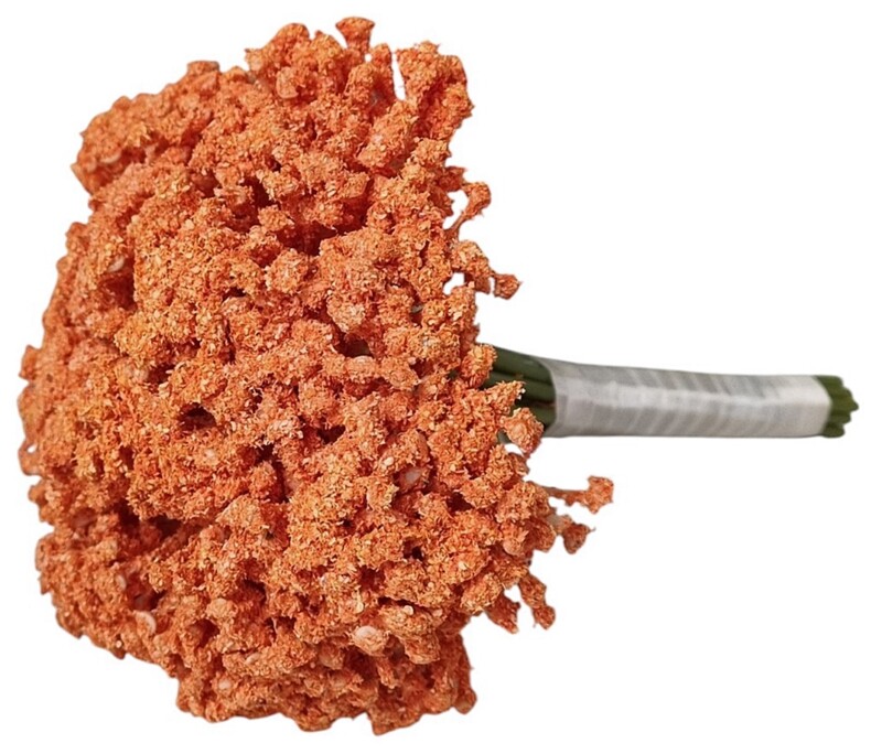 71b6febbf46a14cd77bcc333287b079a