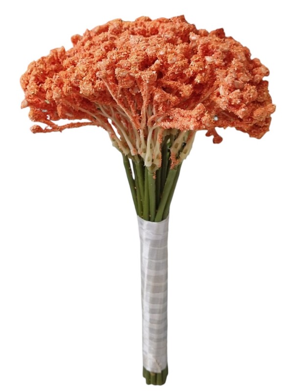 081edc067a1a61e20207c8212e520900