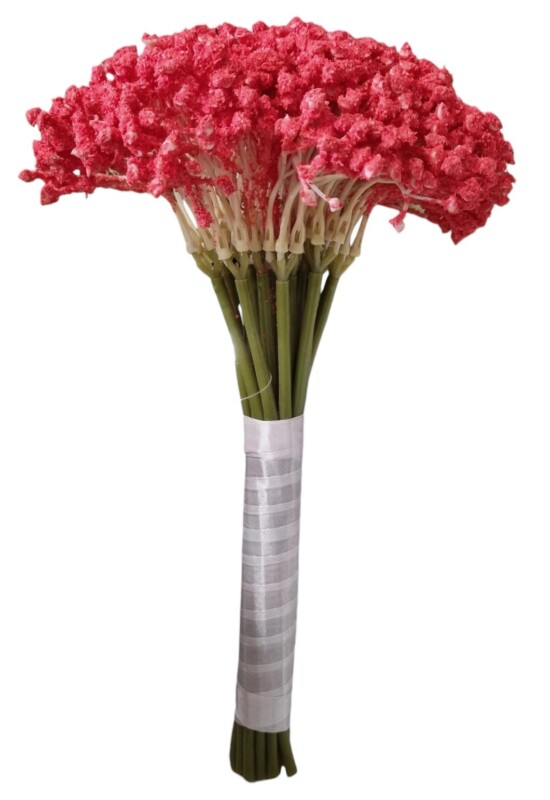 7a4d65791055eec24c99ccdd6248e883