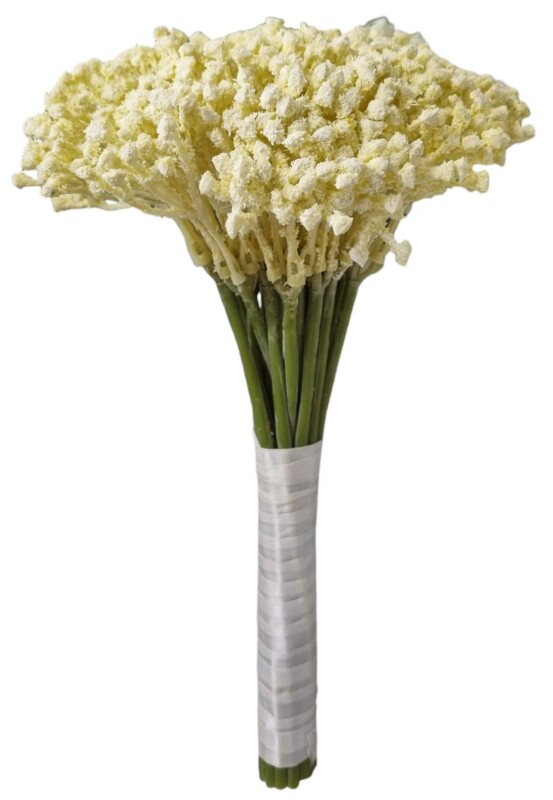 b49d382fff5c24a029d8e34c1a1933aa