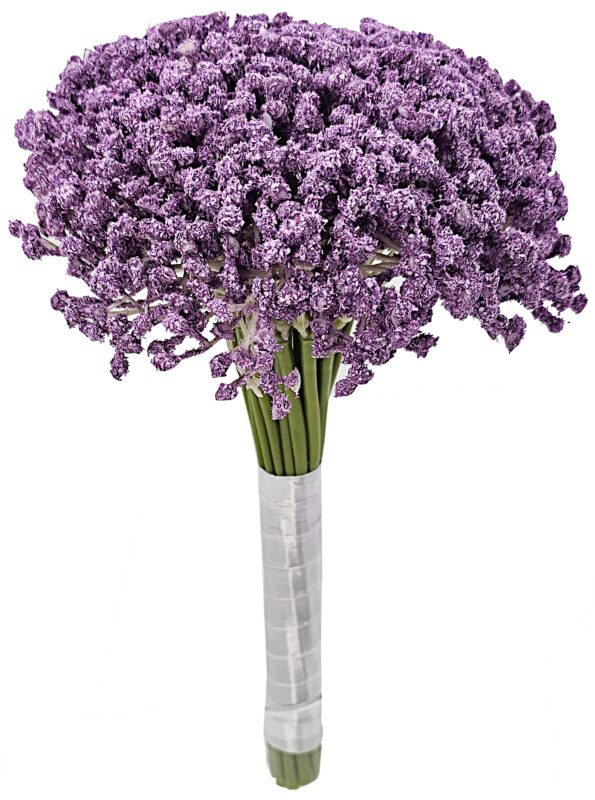 5a95cce56e4978a12c4a97124a0729ff