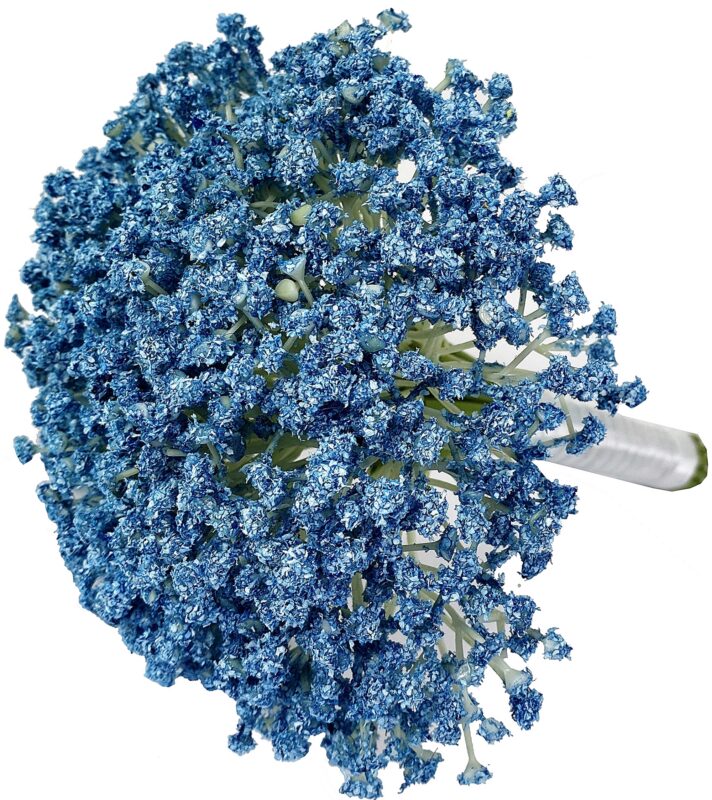 6c6ba50f37516c1f0875634e2917fb69