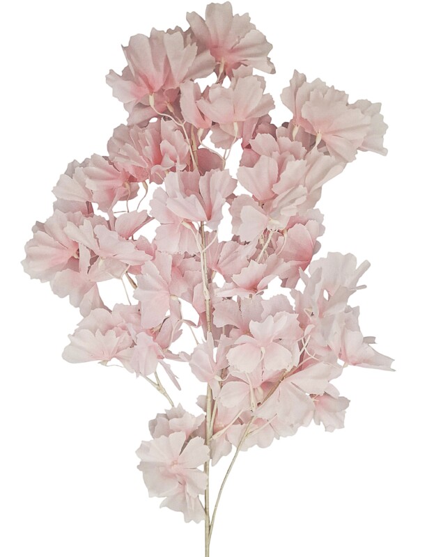 45396028da9437b00a444a5801c3bff0