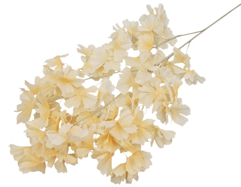 4490fe08f2dd789d683741ad0dfc507b