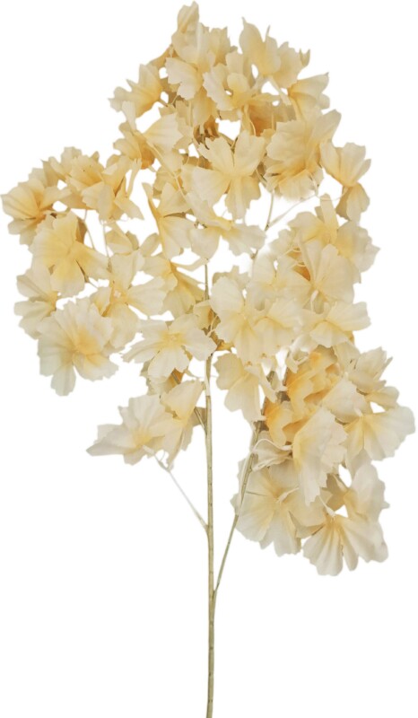 bfde31abf7974cd93c29e9d43cb841a6