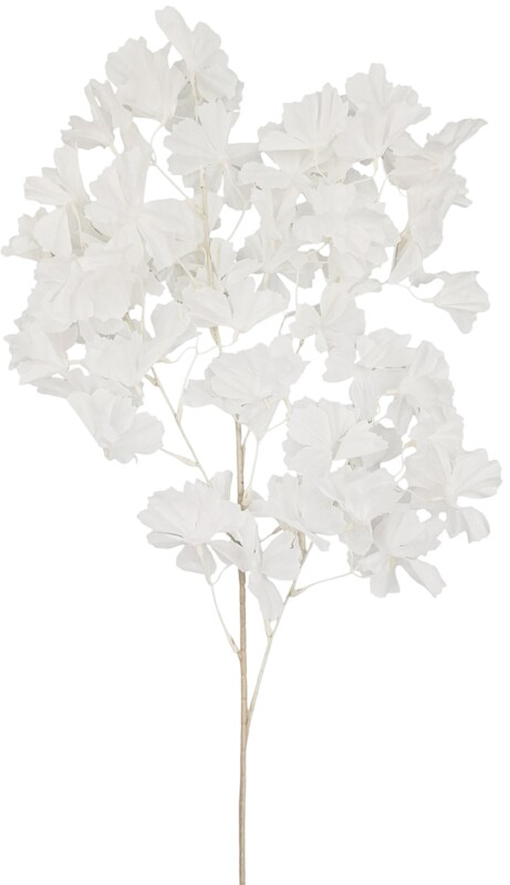 5b5ea5dfddeed1be6b27448491b54d51