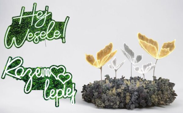 NAPISY I MOTYLE LED