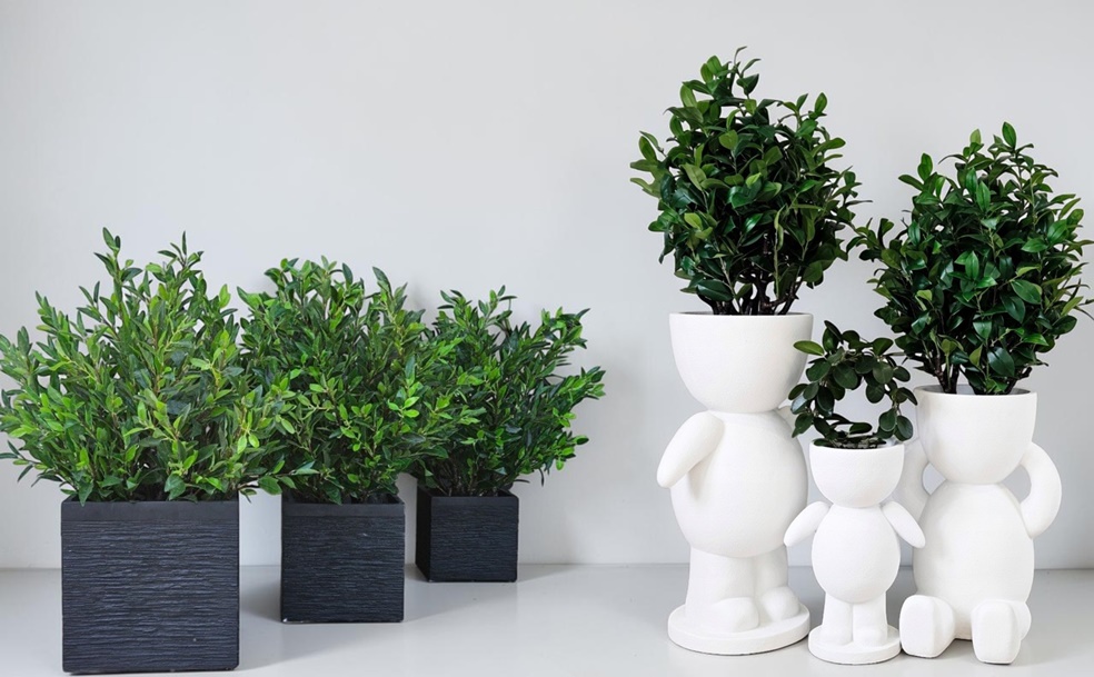 DONICE I SKRZYNKI OGRODOWE