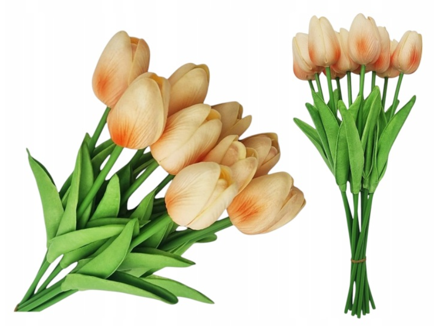 Bukiet Tulipanów x10