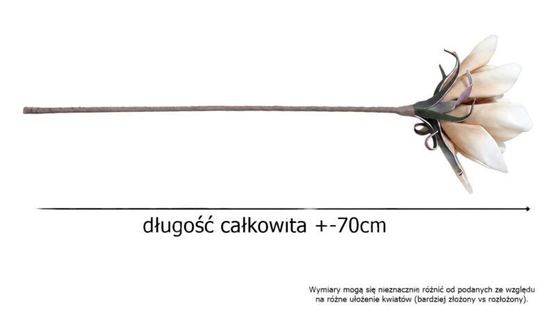 e51ee105fea49ab5bfa453e3fd905b38